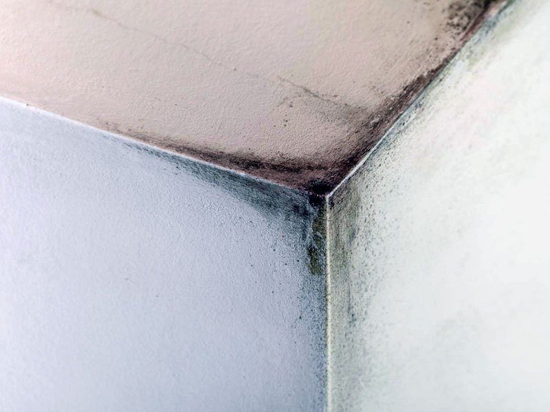 vicio oculto em imovel